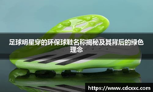 雷竞技RAYBET官网